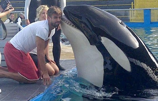 Gerard Pique