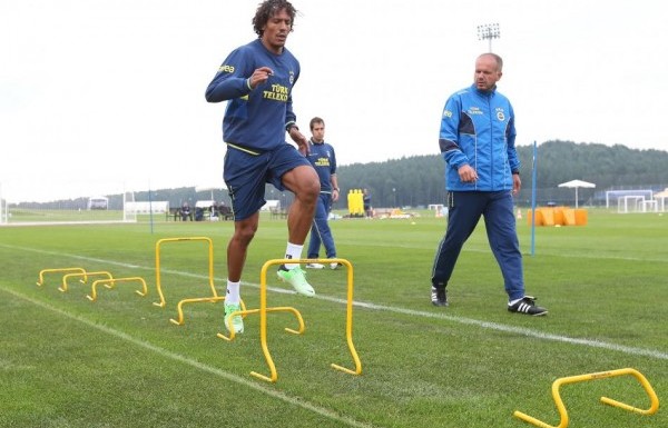 Bruno Alves (Fenerbahçe)