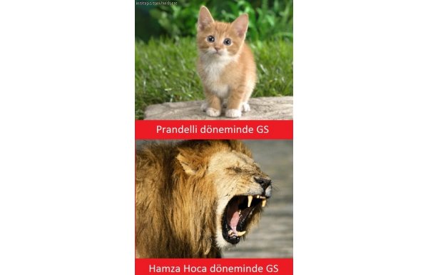 Galatasaray - Eskişehirspor capsleri