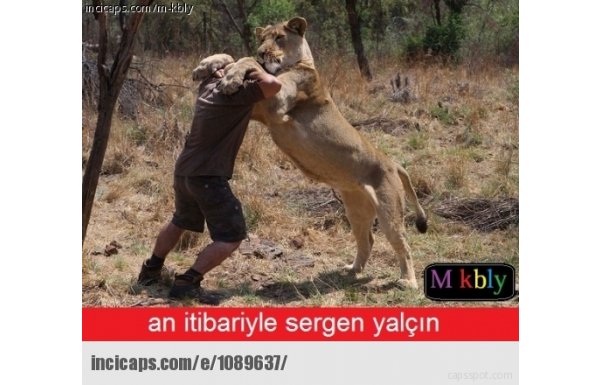 Caps'lerde Sergen Yalçın çılgınlığı