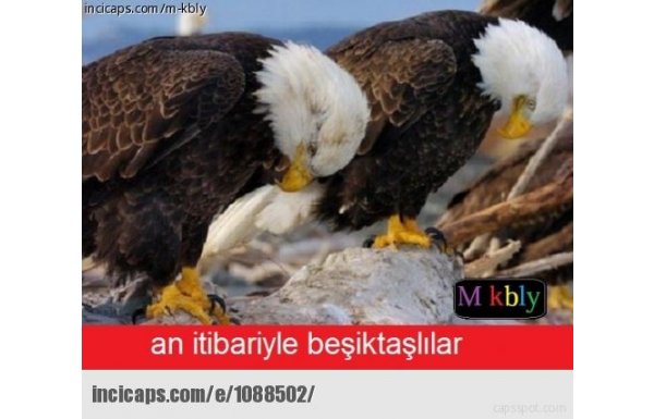 'Balotelli attı, sosyal medya sallandı!