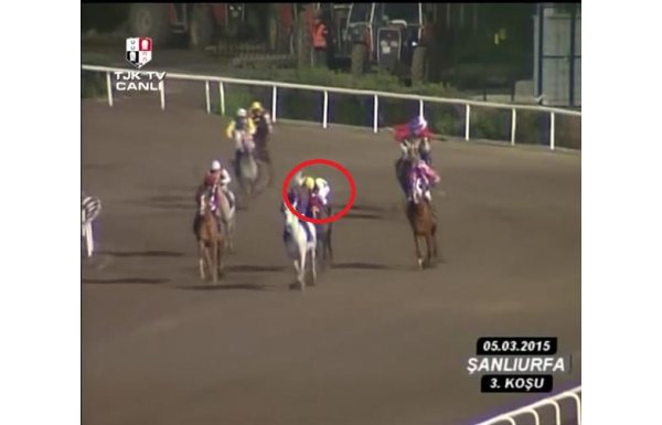 'Atı döve döve bu hale getirdi...