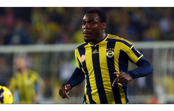 2013 - 2014 / Fenerbahçe