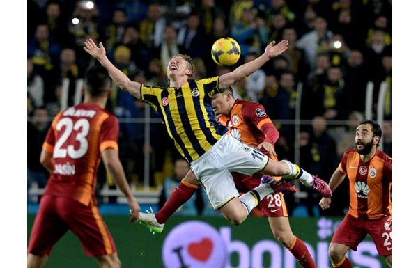 5- SOKAK KEDİSİ - EV KEDİSİ