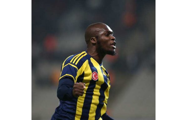 Sow