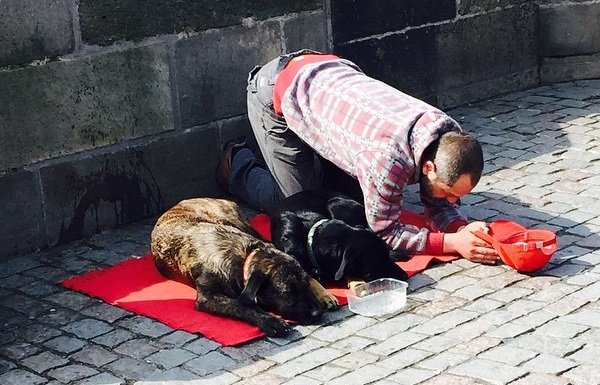 'Sosyal medya günlüğü (11 Nisan 2015)