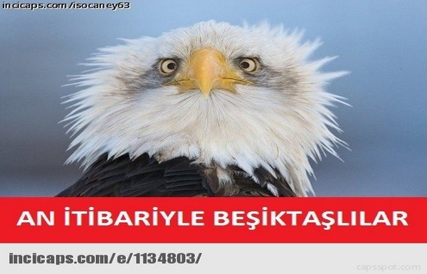 Akhisar-Beşiktaş capsleri