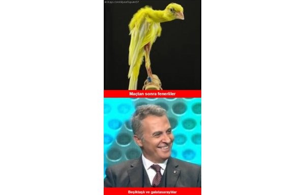 Antalyaspor - Fenerbahçe capsleri