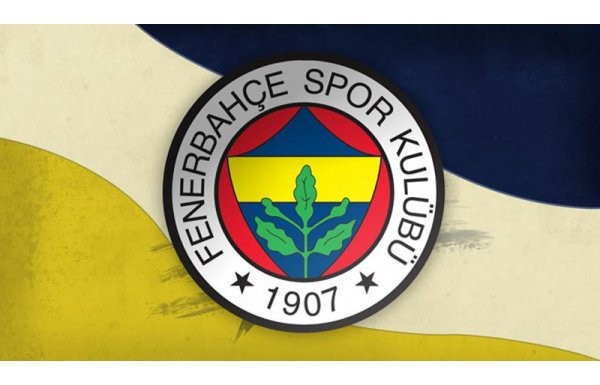 TOPLAM GELİR