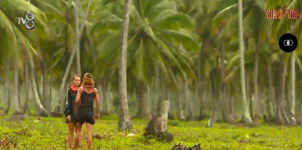 Survivor 2016'da OLAY kavga