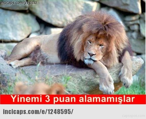 'Galatasaray - Çaykur Rizespor capsleri