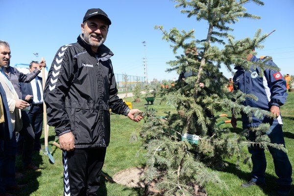 Torku Konyaspor fidan dikti