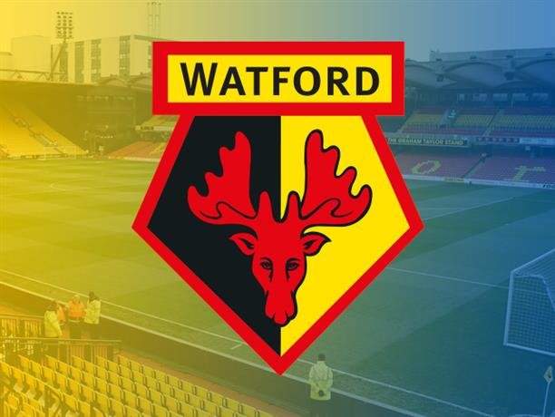 14 	Watford			25 Puan
