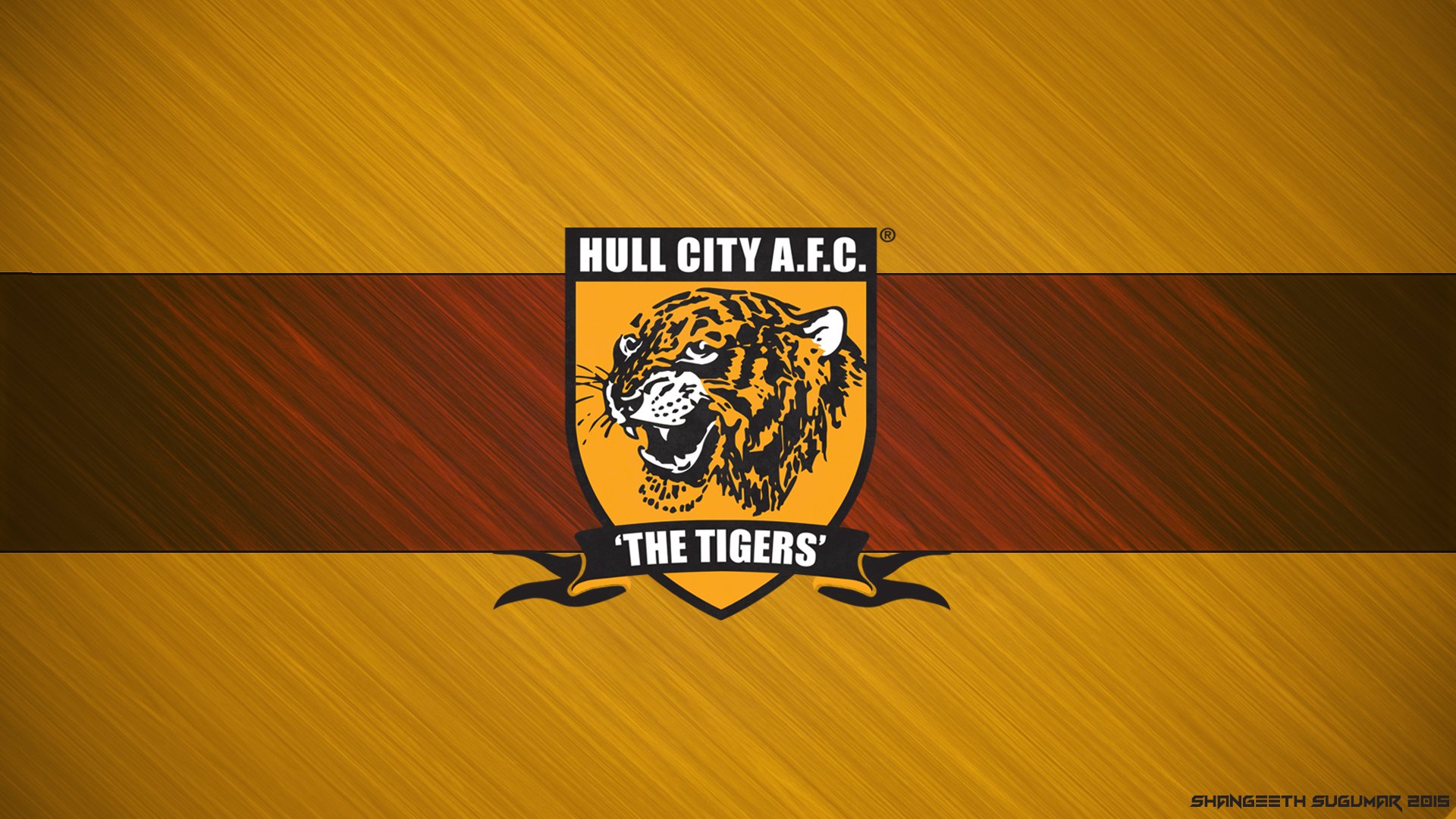 19 	Hull City		18 Puan