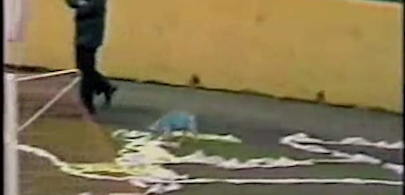 Domuz - İrlanda taraftarı