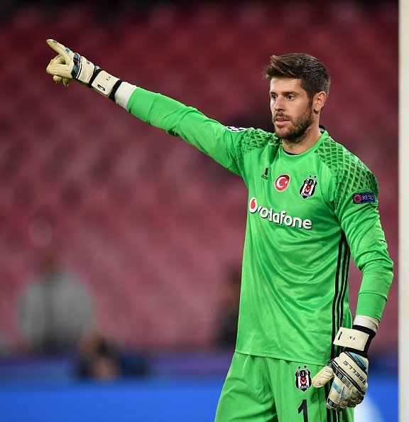 Fabri