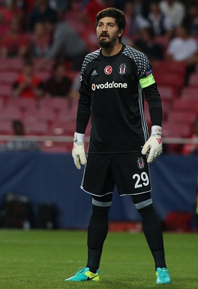 TOLGA ZENGİN