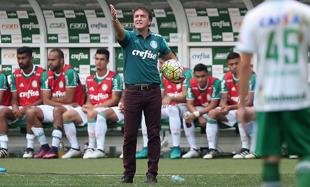 Cuca - Palmeiras