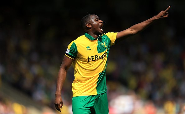 Sébastien Bassong - Norwich - 2,50 mil. Euro