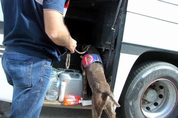 'Beşiktaş taraftarlarından bıçak ve beyzbol sopası ele geçirildi