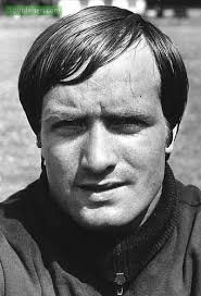 Dick Advocaat - Fenerbahçe