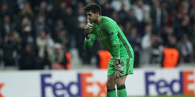 Fabri: 