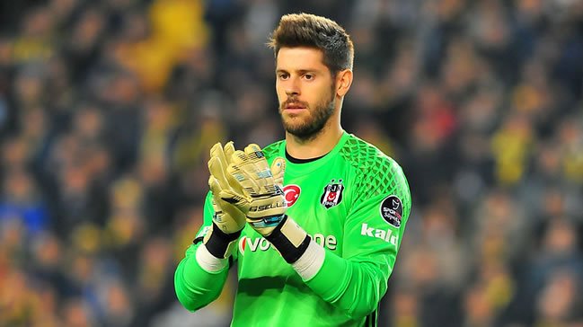 'Fabri: 
