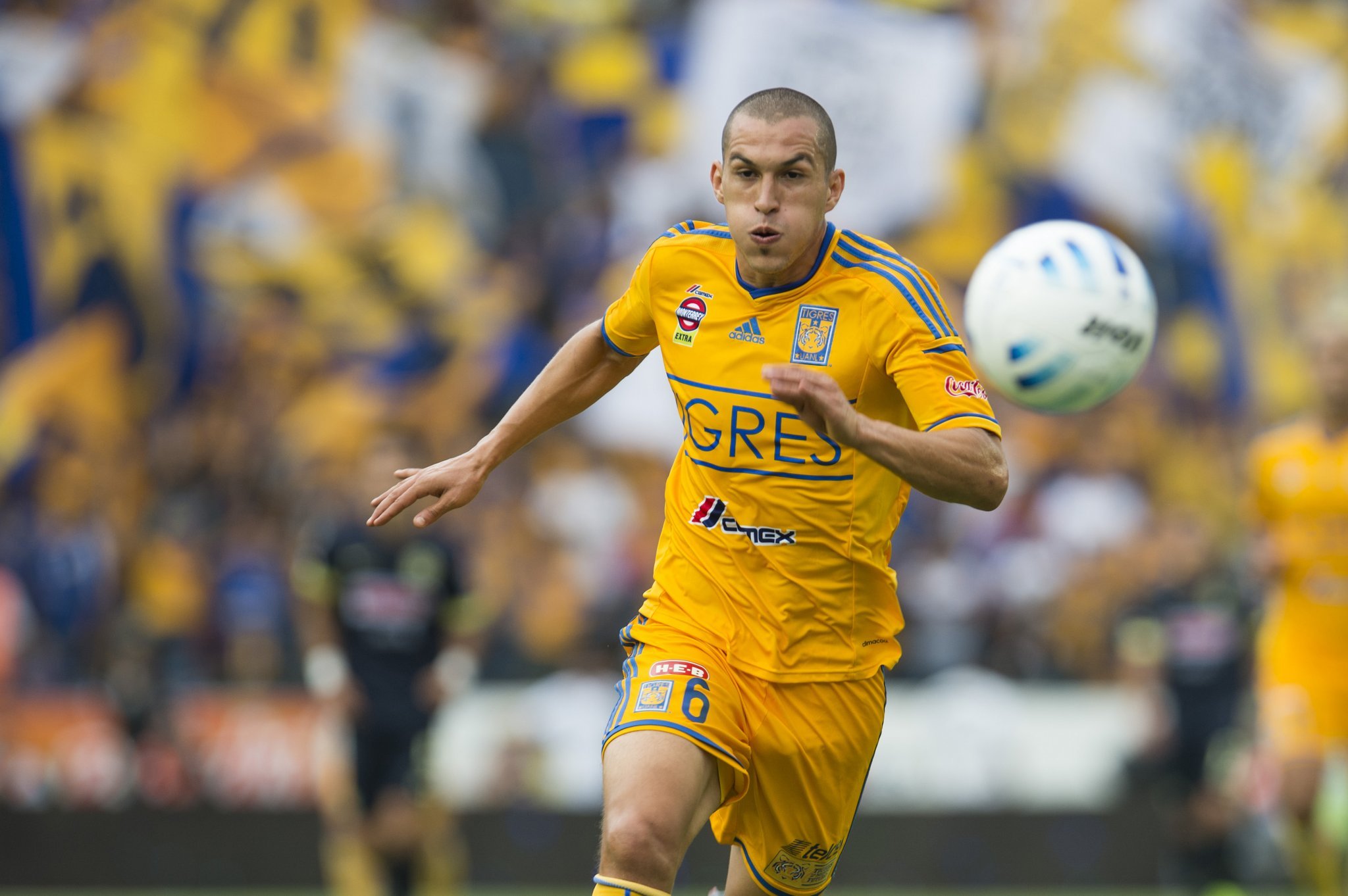 Jorge Torres