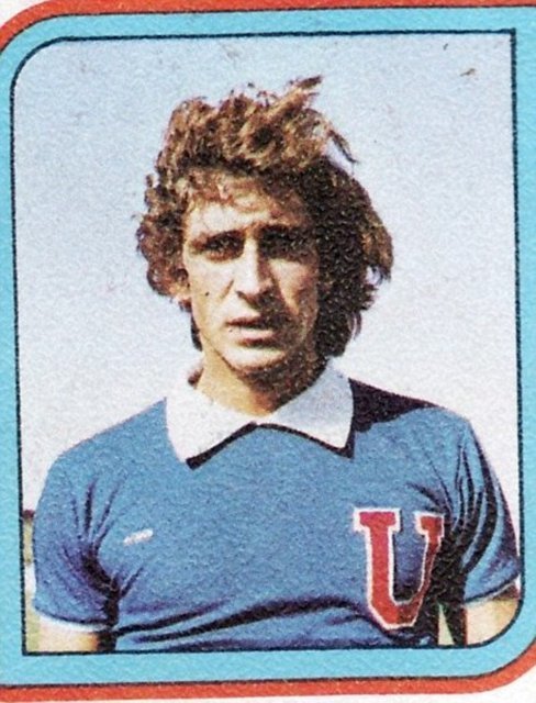Manuel Pellegrini