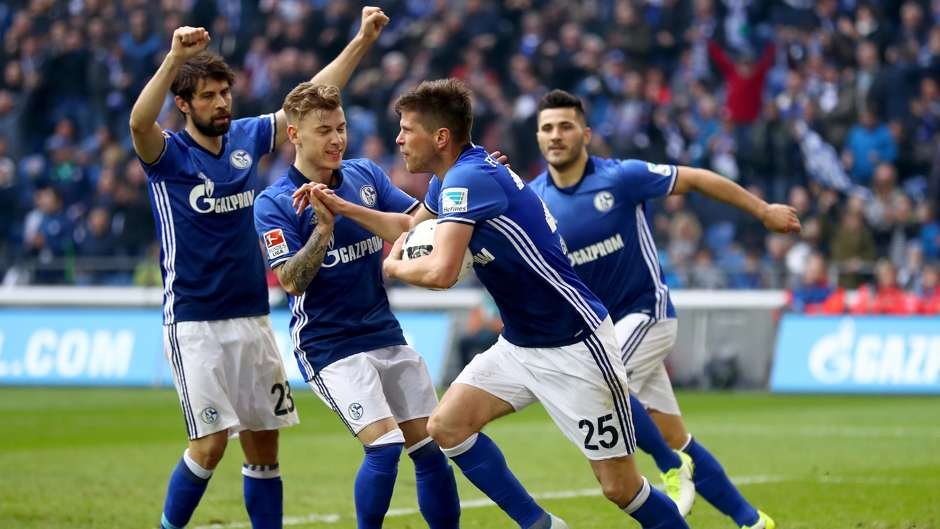 17- SCHALKE