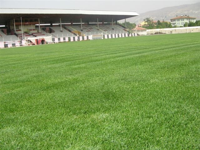 Erzincan
