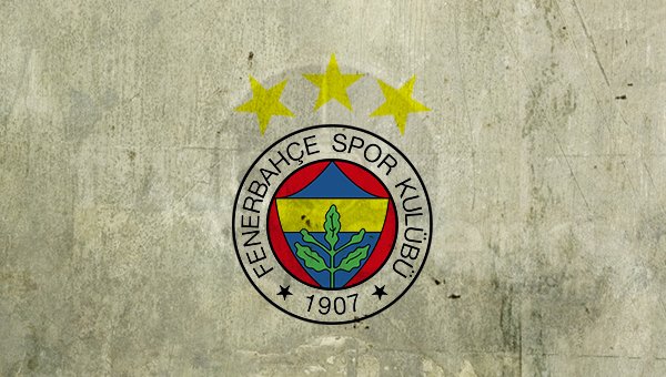 Fenerbahçe'nin gözdesi Newcastle yolunda