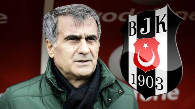 Şenol Güneş, Fatih Terim modeline hayır dedi