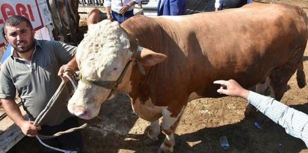’Talisca’ ucuza gitti!