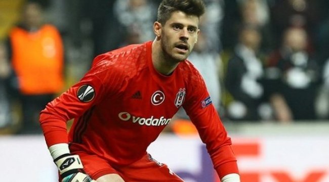 Fabri