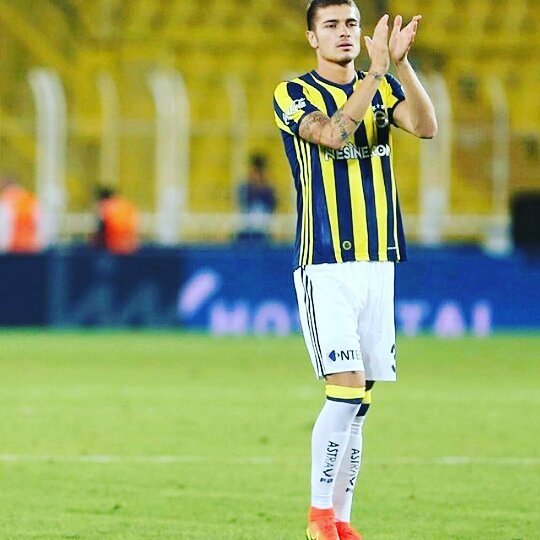 Neustadter