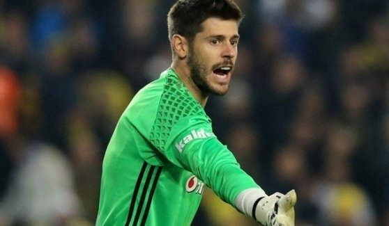 Fabri