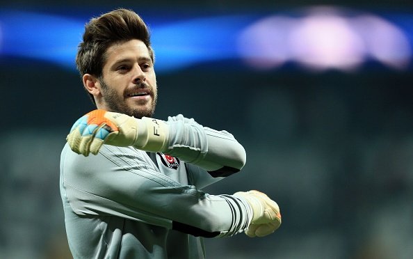 Fabri