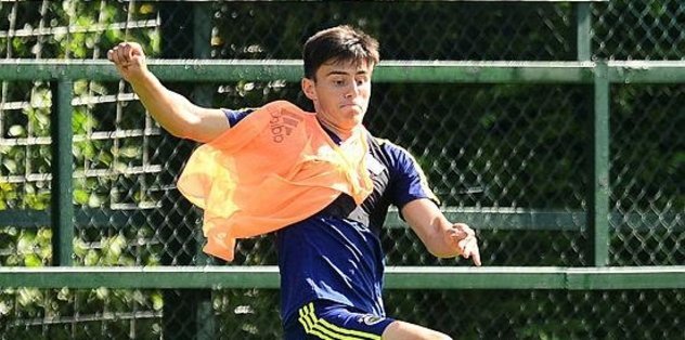 Elmas’a koruma