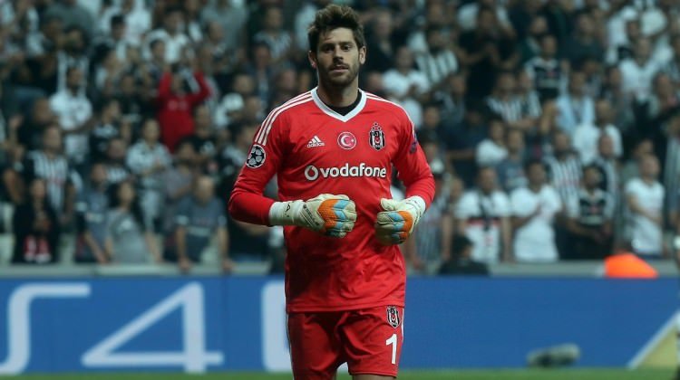 Fabri