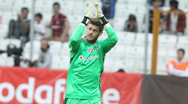 Fabri
