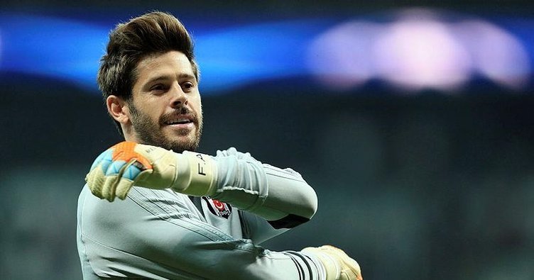  Fabri
