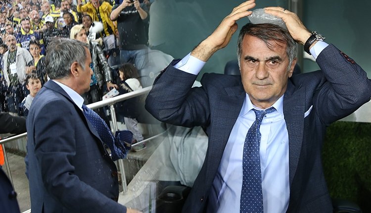 'İşte Şenol Güneş'in yaralandığı o an ve holigan! Kare kare yayınlandı