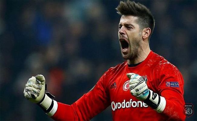 <h2>Fabri</h2>