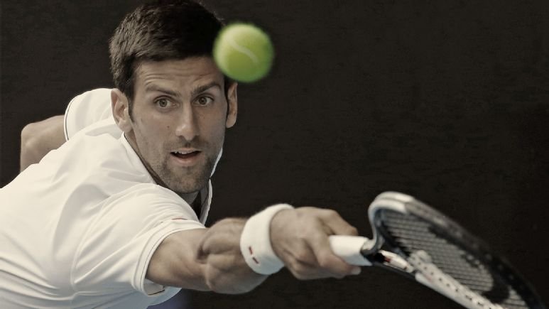 <h2> Novak Djokovic</h2>