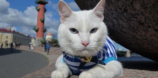 'Kahin kedi! Dünya Kupası'nda ilk maçın sonucunu verdi