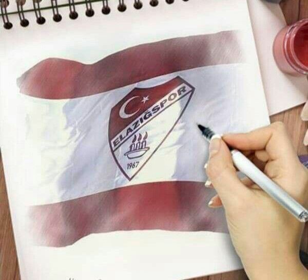 '''Koskoca çınar kesiliyor, ayıp ayıp!''