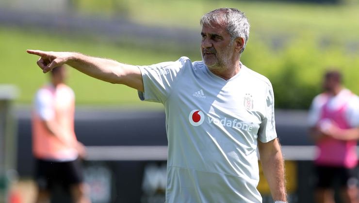Şenol Güneş: