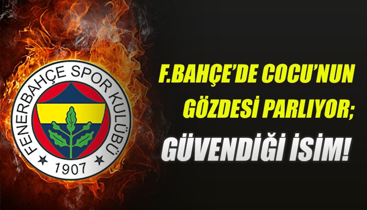 'Fenerbahçe'de Phillip Cocu'nun gözdesi parlıyor; güvendiği isim!