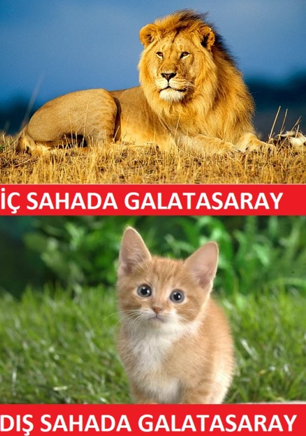 'Galatasaray maçı sonrası olay paylaşım! Herkes bunu konuşuyor